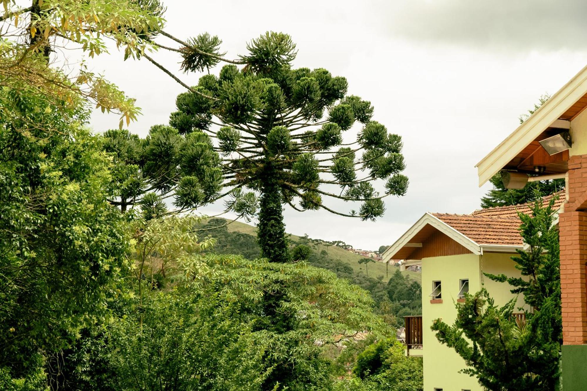 Velinn Pousada Vila Floratta Campos do Jordao Exterior photo